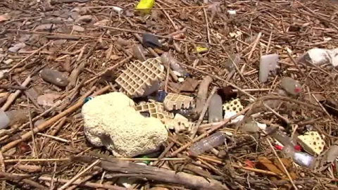 La mitad de los plÃ¡sticos que contaminan el mar son de un sÃ³lo uso