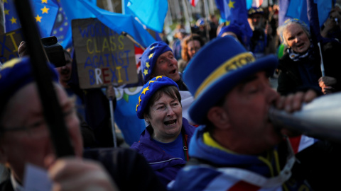 Una partidaria anti-brexit protesta frente al Palacio de Westminster. | Reuters