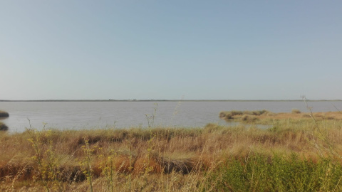 Terreno sobre el que se construirá macroproyecto,situado junto al río Guadalquivir y frente a Doñana | Ecologistas en Acción