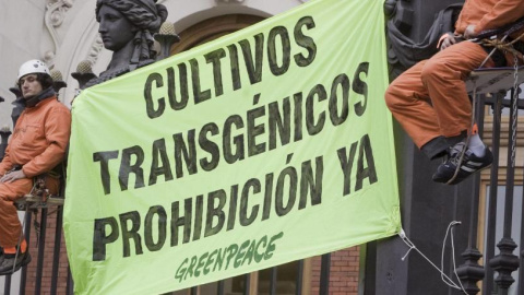 Una manifestación de Greenpeace contra los transgénicos. EFE