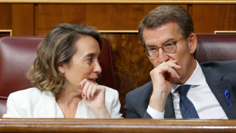 El presidente del PP, Alberto Núñez Feijóo (d), y la portavoz del PP en el Congreso, Cuca Gamarra (i), durante el debate sobre el estado de la nación que comienza este martes en el Congreso.