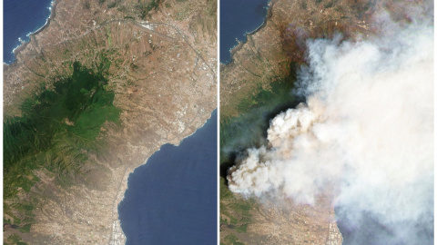 Imágenes de satélite de la isla de Tenerife antes y después del incendio, a 17 de agosto de 2023