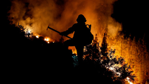 Un bombero forestal durante la extinción del incendio  en Arafo en la isla de Tenerife, a 16 de agosto de 2023