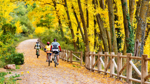 Ciclismo en familia