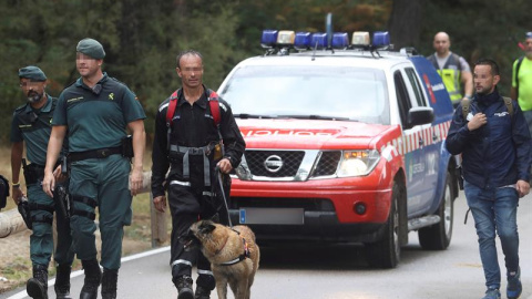 Los perros que participan en la búsqueda de Blanca Fernández Ochoa, este lunes. EFE/ Kiko Huesca