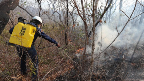 Voluntarios bolivianos aplacan un incendio el 27 de agosto de 2019 en la región de San José de Chiquitos (Bolivia).- EFE