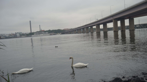 Puente junto al que supuestamente se halló el cadáver del joven vasco.