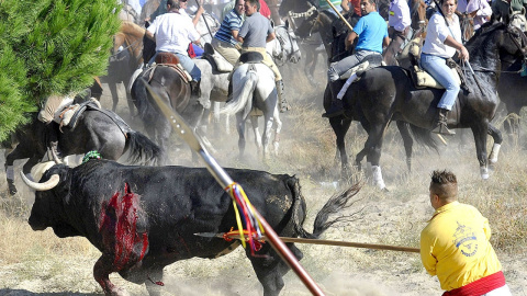 Imagen del Toro de la Vega del año pasado.