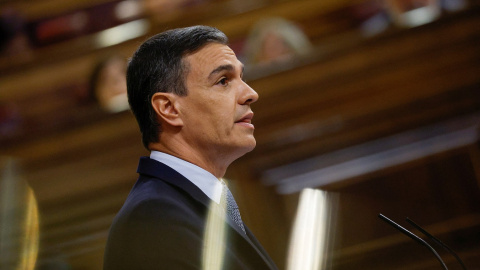 El presidente del Gobierno, Pedro Sánchez, en la tribuna del Congreso de los Diputados durante el último debate del estado de la nación, en pasado julio. REUTERS/Susana Vera