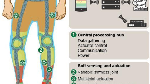 El exoesqueleto desarrollado por el CSIC/Servimedia