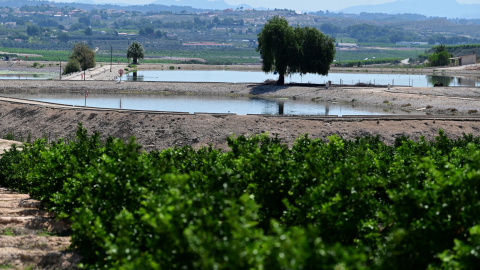 Una fotografía tomada el 15 de junio de 2023 muestra la laguna que almacena agua para regar los campos cultivados en la zona de Campos del Río, cerca de Murcia, sur de España.