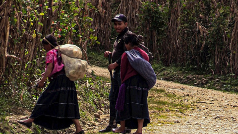 Indígenas tzotziles, abandonan sus casas el 4 de octubre de 2021, en el municipio de Aldama en el estado de Chiapas (México).