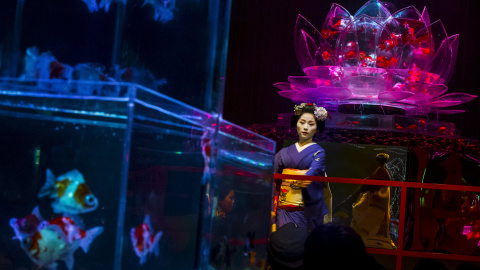 Una Maiko, una aprendiz de geisha, realiza una danza tradicional frente a un tanque con peces de colores en la exposición Arte Acuario en Tokio. Miles de peces de colores se muestran en decenas de tanques de forma exclusiva iluminados por l