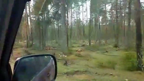 Las talas para fabricar pellets se comen el bosque del nacimiento del Tajo