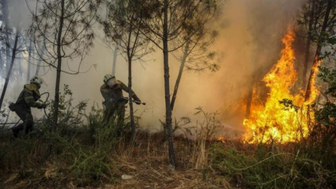 Brigadistas realizan labores de extinción del incendio a las afueras de Orense./ EFE