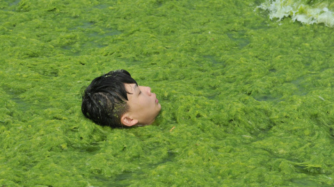 Un niño juega en una playa cubierta de algas en Qingdao, China. REUTERS/Stringer