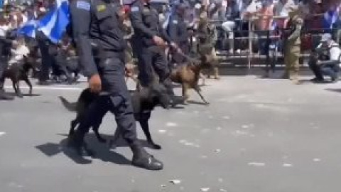 Los salvadoreños celebran la independencia y marchan contra la posible reelección de Bukele