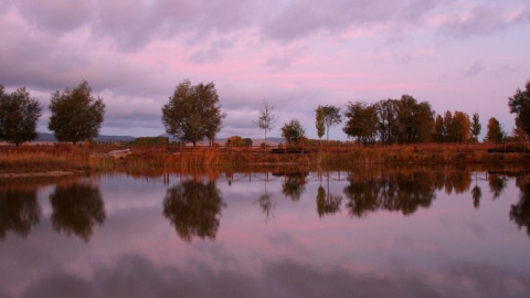 La laguna de El Cañizar ha llegado a albergar ejemplares de 200 especies de aves, la mayoría acuáticas, en unas tierras que cultivan varios centenares de vecinos de la zona. SEO-BIRDLIFE Aragón