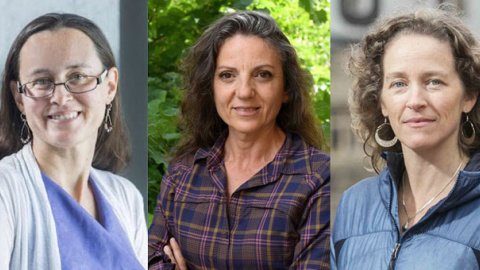 Los científicas Maura McLaughlin, Sandra Díaz y Julia Olson. / SINC