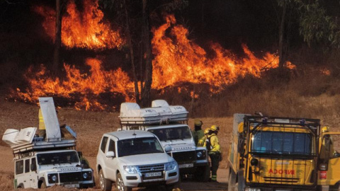 El incendio forestal declarado este jueves en el paraje El Chorrito de Paterna del Campo (Huelva) está fuera de la capacidad de extinción debido a la velocidad y la dirección del viento, sobre todo en la cabeza del fuego, que avanza a tres 