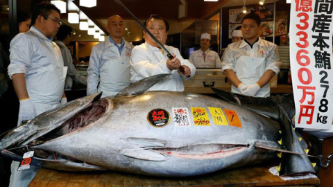 El atún rojo fue vendido por un precio récord de 2,7 millones de euros en la lonja de Tokio. / EFE