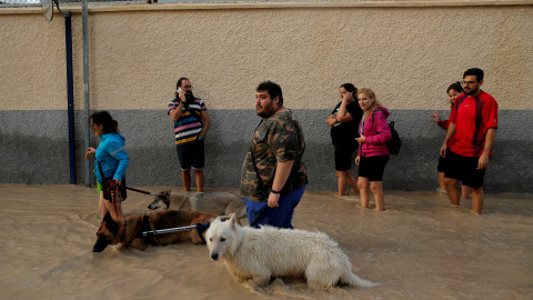 Varios vecinos caminan con sus mascotas por una calle inundada por la gota fría en Orihuela, Alicante.-  REUTERS / JON NAZCA