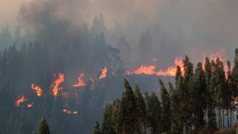 El incendio forestal declarado este jueves en el paraje El Chorrito de Paterna del Campo (Huelva).- EFE/ David Arjona