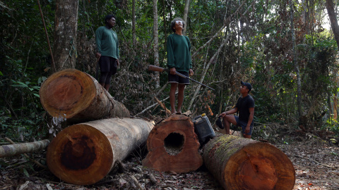 Un grupo de indígenas kayapo se paran en los troncos de los árboles que aseguran que talaron los madereros cerca de Novo Progresso, Brasil.- REUTERS/ Amanda Perobelli