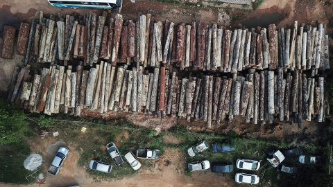 Una vista aérea muestra troncos cortados ilegalmente de la selva amazónica en Anapu, estado de Pará, Brasil.-REUTERS / Nacho Doce