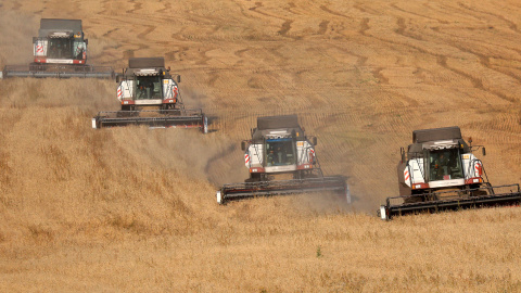 Cosechadoras de trigo en la aldea de Ogur, en la región de Krasnoyarsk, Rusia.- REUTERS / Naymushin