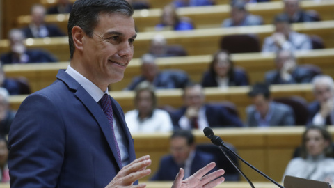 31/01/2023.- El presidente del Gobierno, Pedro Sánchez, interviene en el pleno del Senado, este martes en Madrid. EFE/ Zipi