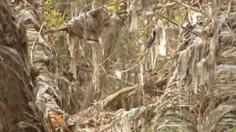 Miles de toallitas húmedas cubren por completo una zona de Madrid