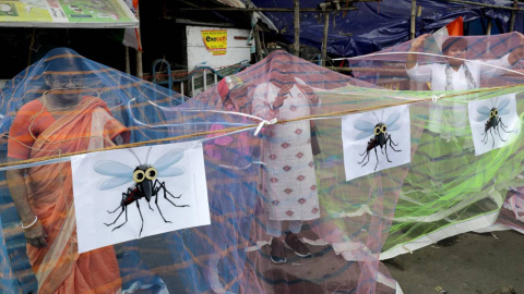 Activistas del Congreso Nacional se colocan bajo mosquiteras mientras protestan contra el gobierno de Bengala por el brote de dengue en Calcuta, este de la India, el 25 de septiembre de 2023.