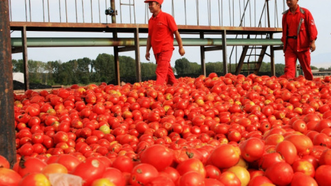 Del tomate comunista al marxismo neoliberal