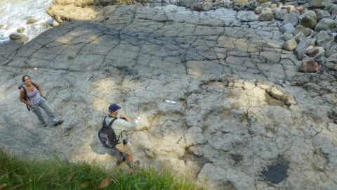 Huellas de dinosaurios en el yacimiento de la Playa de la Griega (Asturias) / Museo Jurásico de Asturias