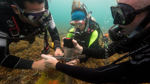 Las muestras de sedimento del fondo marino aportan información muy valiosa sobre la historia de los arrecifes.