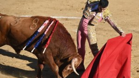 Castilla y León convoca dos premios para fomentar el estudio de la tauromaquia