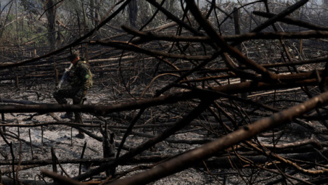 Un soldado camina por un tramo quemado del Amazonas en Rondônia. / RICARDO MORAES (REUTERS)