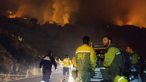 El dispositivo formado para la extinción del incendio forestal declarado en La Palma. /EFE