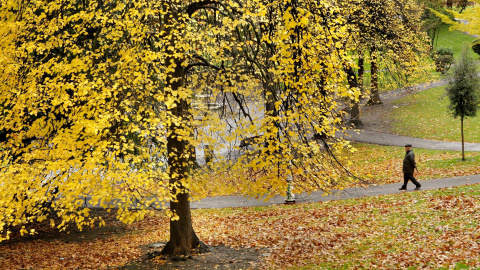 Un hombre camina entre los árboles, ocres y dorados por el otoño, del parque de doña Casilda en Bilbao. EFE