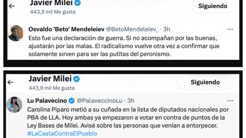 Tuits a lo que Milei ha dado 'me gusta'.