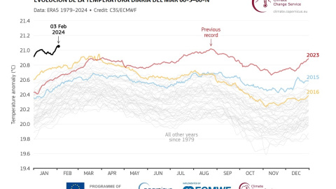 Evolución de la temperatura diaria del mar.