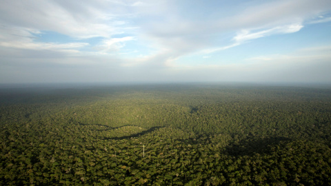 Selva amazónica en el estado de Amazonas. REUTERS / Bruno Kelly