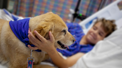 Un perro visita a su dueño en un hospital de Ibiza.