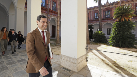 El presidente de la Junta de Andalucía, Juanma Moreno, en el Palacio de San Telmo tras la rueda de prensa donde ha anunciado la composición de su Gobierno. EFE/José Manuel Vidal