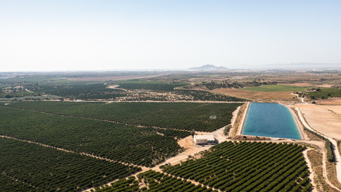 Cultivos en el Campo de Cartagena, Murcia.