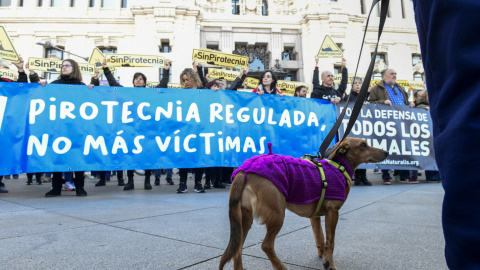 Ecologistas y animalistas se concentran este ante el Ayuntamiento de Madrid para mostrar su oposición a la mascletá organizada junto a la Casa de Campo por el alcalde.