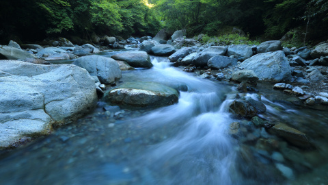 Ahorramos agua porque no llueve sobre mojado