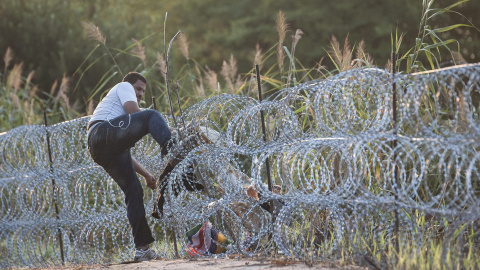 Un refugiado sirio intenta pasar la alambrada en la frontera entre Hungría y Serbia cerca de Roszke (Hungría).- EFE/Zoltan Balogh