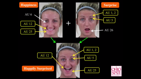 Análisis facial de las emociones de alegría y sorpresa (arriba), y de sorpresa agradable. /OSU